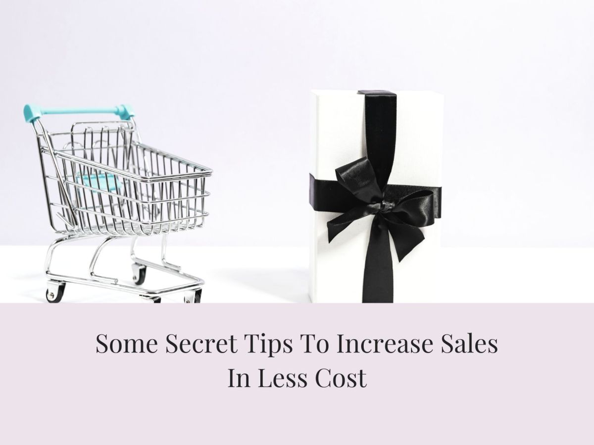 Cameron Porreca – Some Secret Tips To Increase Sales In Less Cost